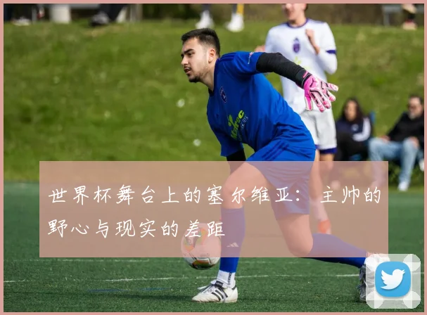世界杯舞台上的塞尔维亚:主帅的野心与现实的差距