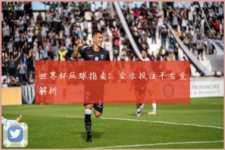 世界杯压球指南:合法投注平台全解析