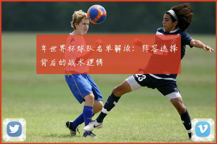年世界杯球队名单解读:阵容选择背后的战术逻辑