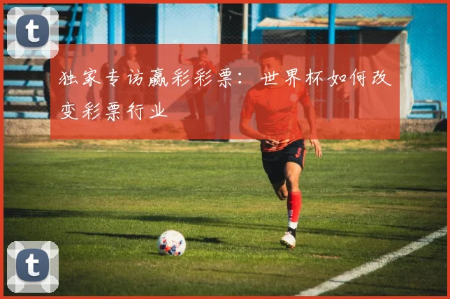 独家专访赢彩彩票:世界杯如何改变彩票行业