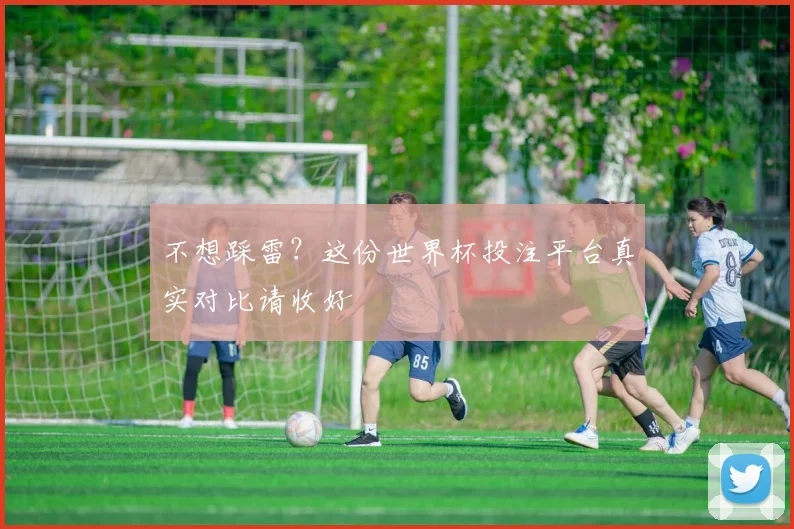 不想踩雷?这份世界杯投注平台真实对比请收好
