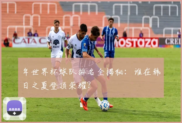 年世界杯球队排名全揭秘:谁在韩日之夏登顶荣耀?