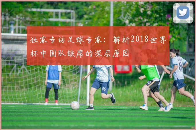 独家专访足球专家:解析2018世界杯中国队缺席的深层原因