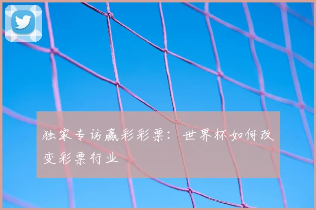 独家专访赢彩彩票：世界杯如何改变彩票行业